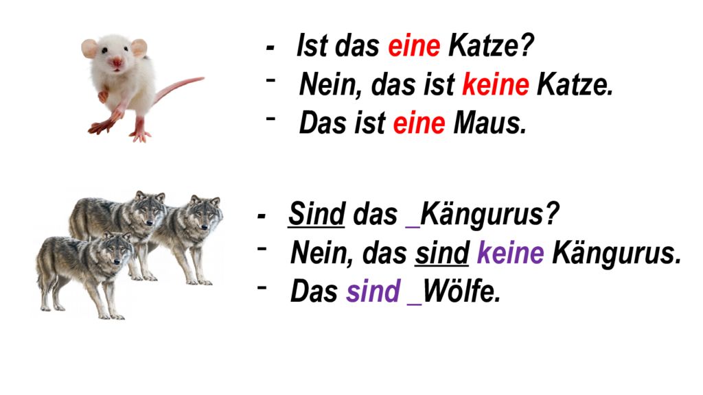 Hast du eine katze. Katze по немецки. Die Tiere презентация. Проект Mein Lieblingstier die Katze.. Заполните таблицу die Maus eine Maus der Wolf.