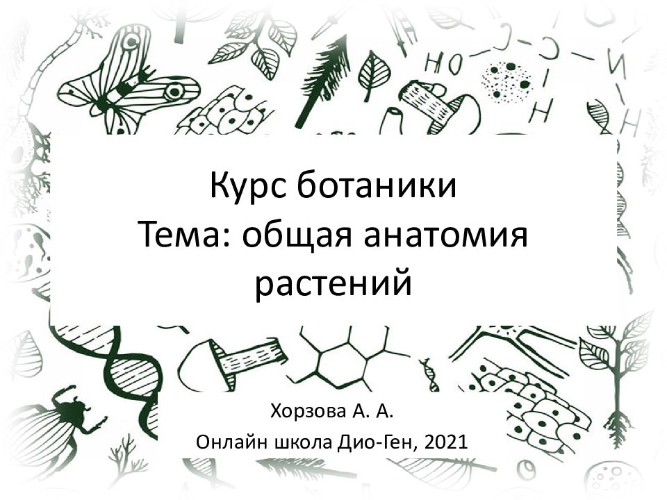 Курс по ботанике. Ботаника темы. Курс ботаники. Курсы по ботанике. Анатомия растений и анатомия животных.