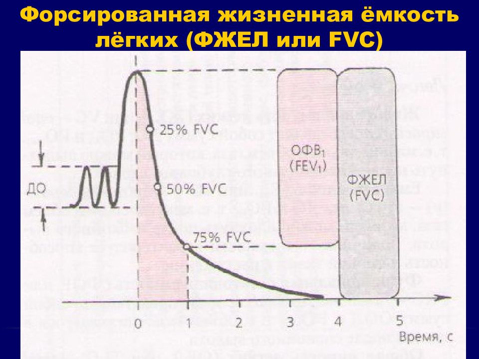 Жизненная емкость легких показатели. Форсированная жизненная емкость легких. ФЖЕЛ. Спирография жизненная емкость легких. Фжйл.