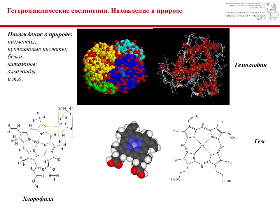 Гетероциклические соединения презентация 10 класс профильный уровень