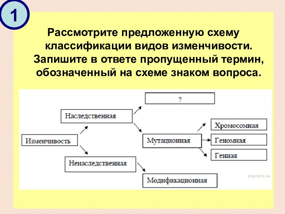 Укажите пропущенное. Рассмотрите предложенную схему классификации видов изменчивости. Рассмотрите предложенную схему типа. Запишите пропущенный термин обозначенный на схеме знаком. Рассмотрите предложенную схему запишите в ответе пропущенный термин.