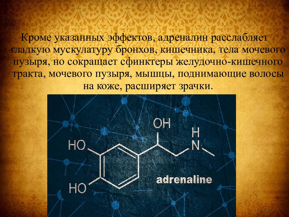 Адреналин какого года. Адреналин презентация. Адреналин картинки для презентации. Интересные факты о адреналине. Адреналин это простыми словами.