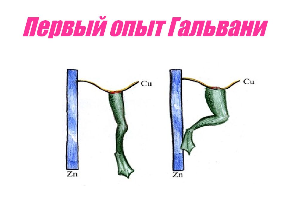 Схема первый опыт гальвани