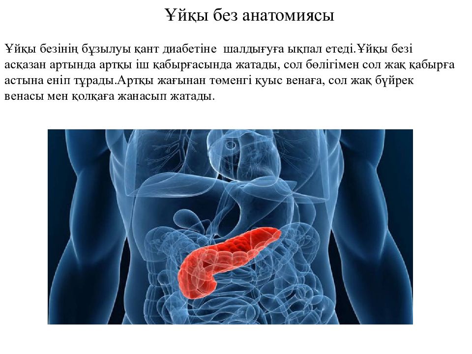 Бауыр аурулары презентация