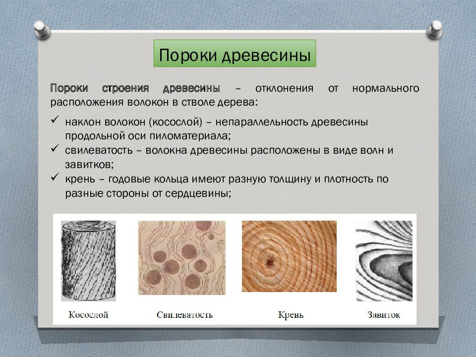 Прочность волокон древесины. Дефекты древесины. Выявление пороков древесины. Перечислите основные пороки древесины. Основные дефекты древесины.