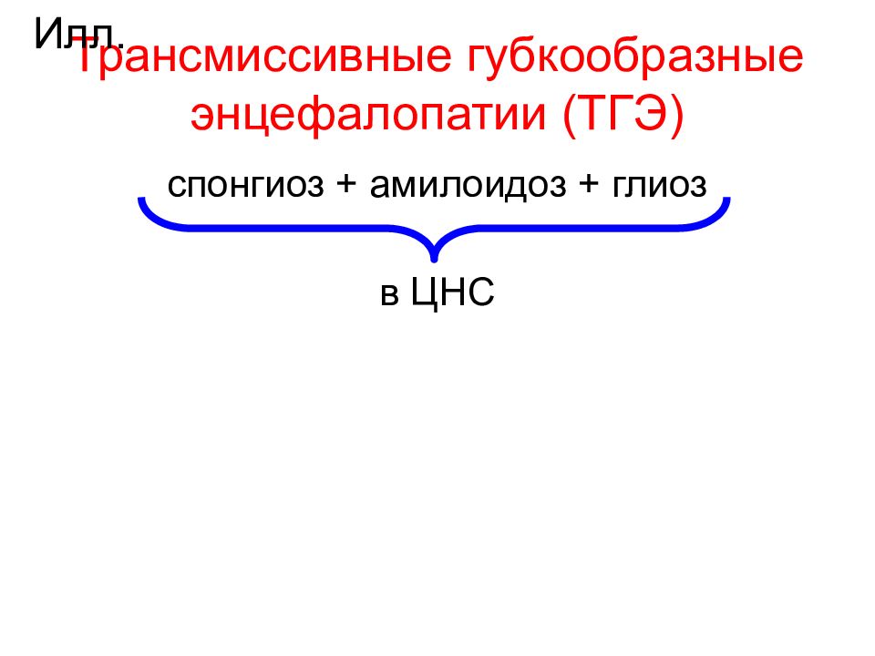 Онкогенные вирусы презентация