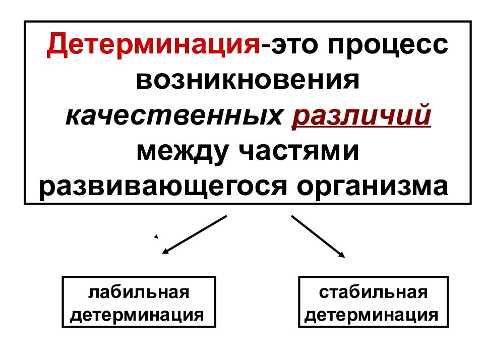 Детерминация это. Детерминация. Лабильная детерминация. Детерминация это в биологии. Лабильная и стабильная детерминация.