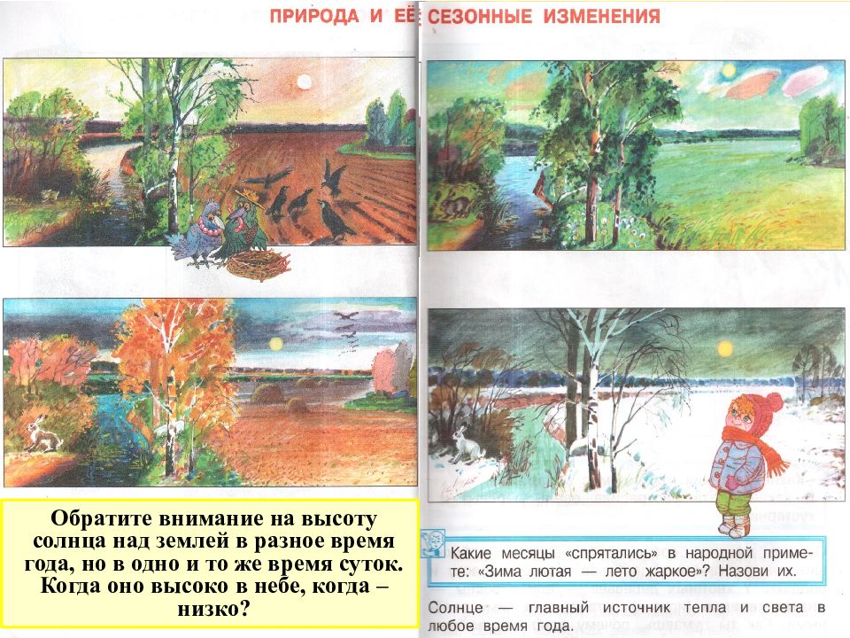 Изменения в природе. Сезонные изменения в природе. Сезонные изменения в природе лето. Сезонные изменения для детей. Сезонные изменения 1 класс.