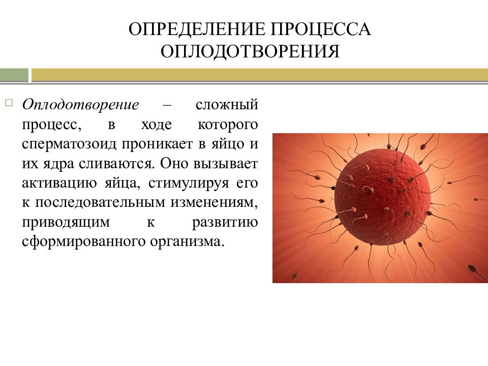 2 процесс оплодотворения. Дайте определение процессу оплодотворения. Оплодотворение это процесс в результате которого. Вода необходима для процесса оплодотворения.