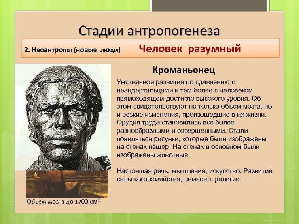 неоантропы