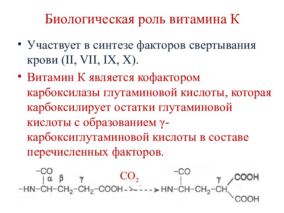 Биороль витаминов презентация