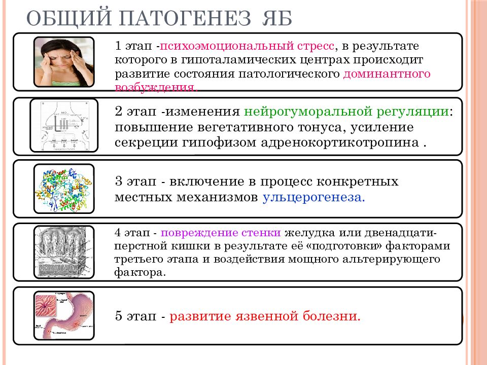 Патофизиология жкт презентация