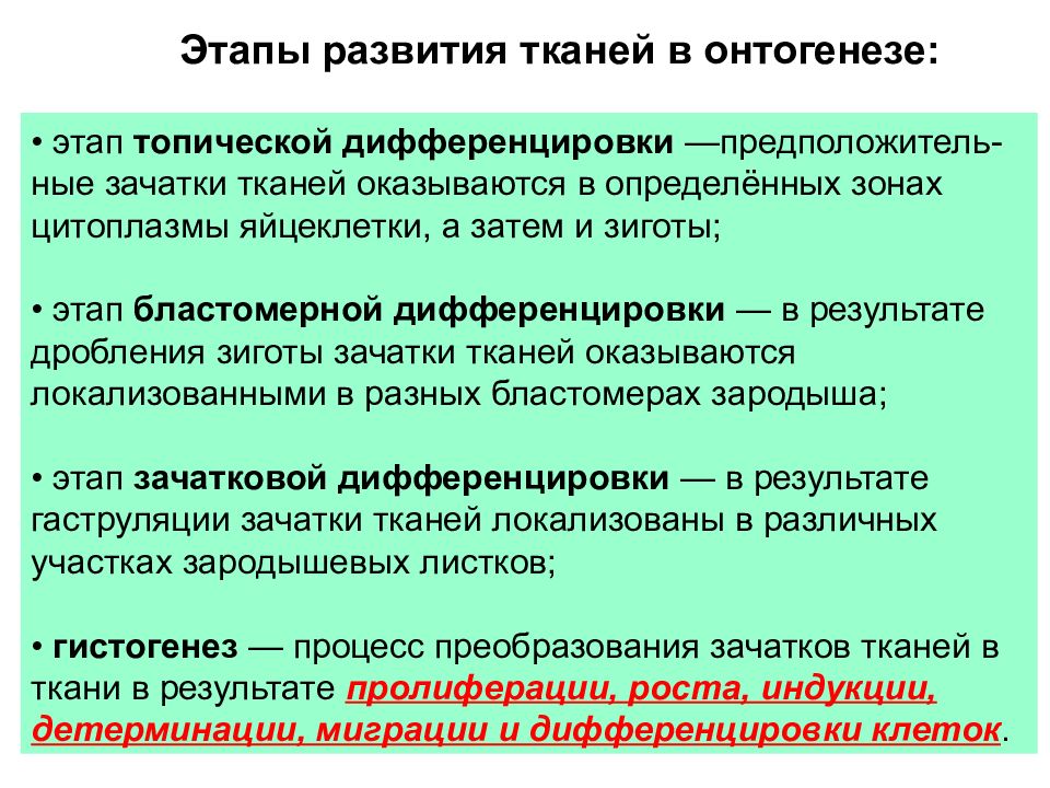 Ткань сложившаяся в процессе развития совокупность. Тканевые органы. Происхождение тканей и органов. В организме человека насчитывается. Ткань это исторически сложившаяся система клеток.