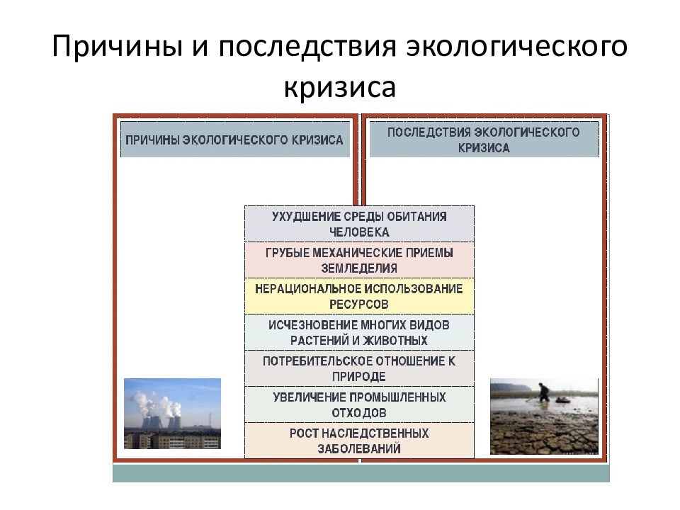 Экологический кризис план