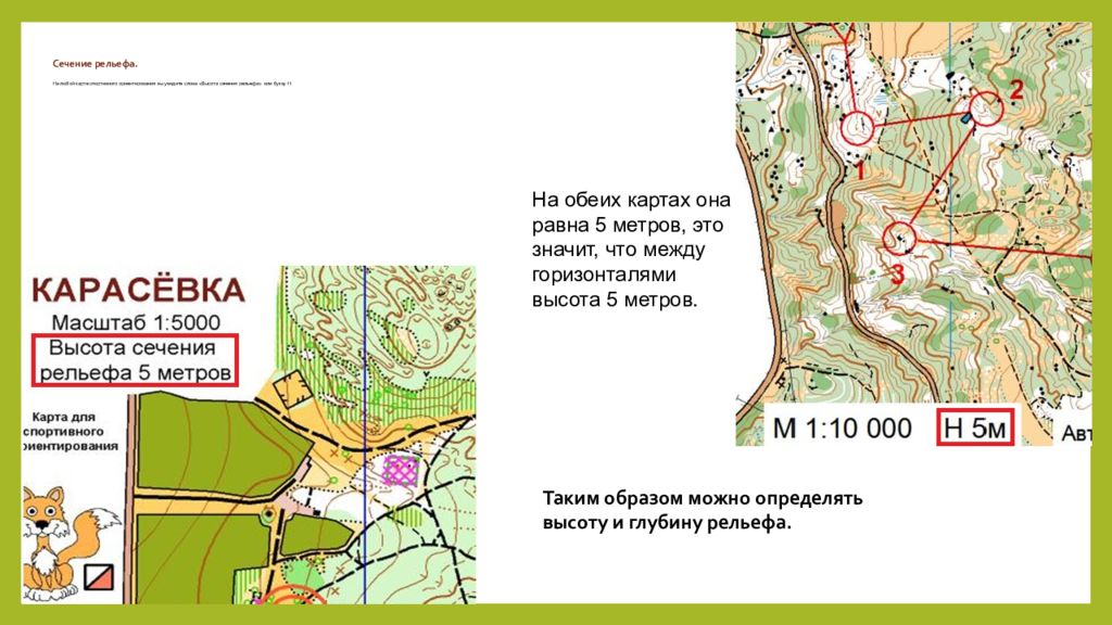 Карта на 1 1 5. Сечение рельефа на карте. Спортивное ориентирование рельеф. Высота сечения рельефа на карте. Определение высоты сечения на картах.