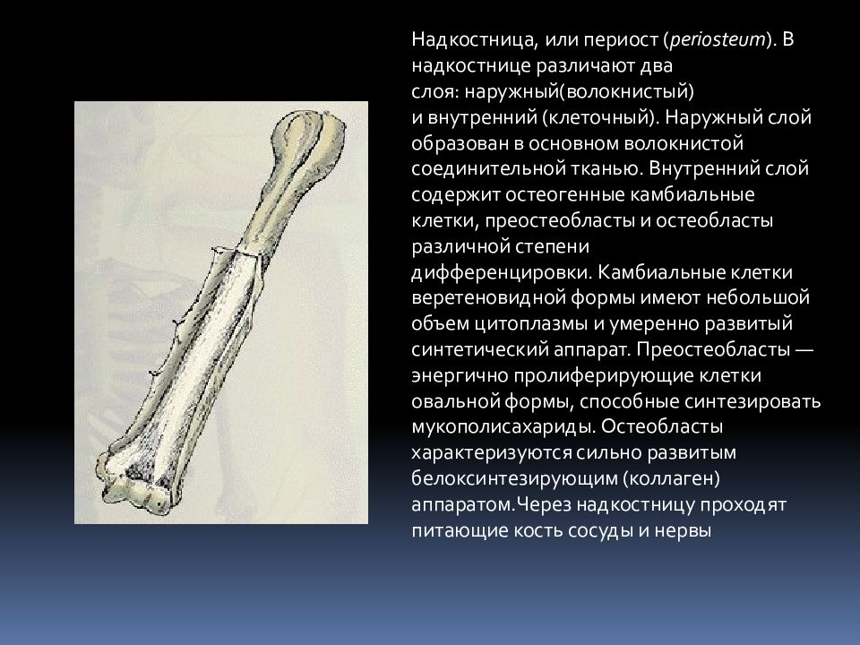 Анализ кости на остеопороз. Тяжелый остеопороз характеризуется. Инструмент для расчета остеопороза. Воложин а.и. "остеопороз".