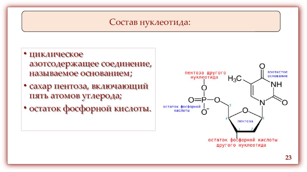 Состав нуклеотида днк. Остаток фосфорной кислоты в нуклеотидах. Остаток фосфорной кислоты РНК формула. Состав нуклеотида. Нуклеотид состоит из.