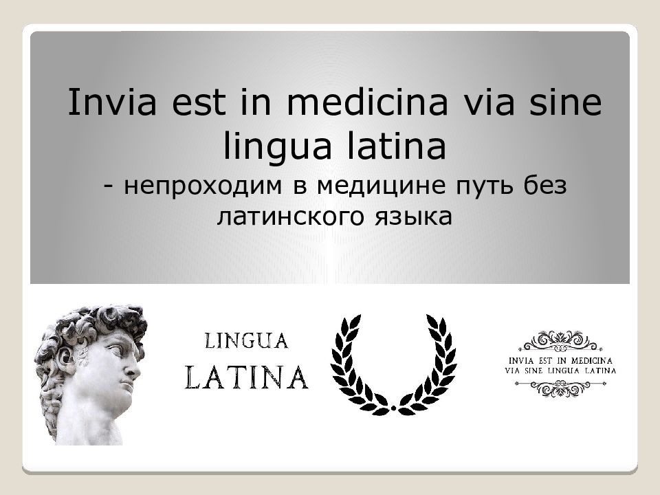 Lingua перевод. Латынь в медицине. Латинский язык в медицине. Нет пути в медицине без латинского языка. Язык в медицине по латыни.