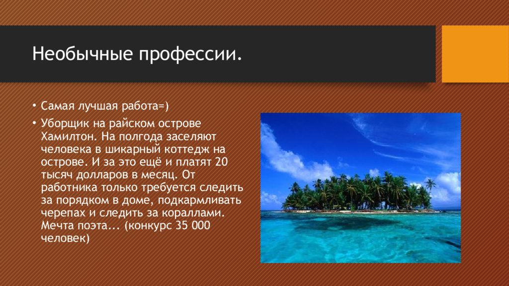 Самая необычная профессия презентация