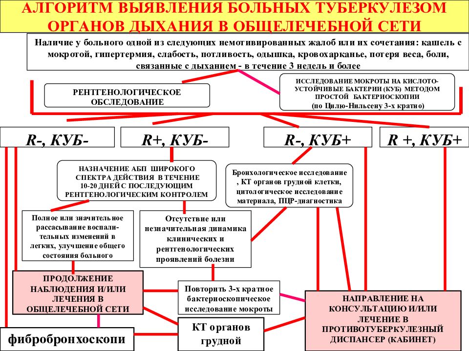 План противотуберкулезных мероприятий