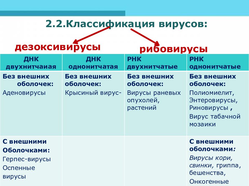 Вирусы классификация. Классификация биологических вирусов. РНК содержащие вирусы классификация. Классификация вирусов 10 класс. Классификация вирусов дезоксивирусы рибовирусы.