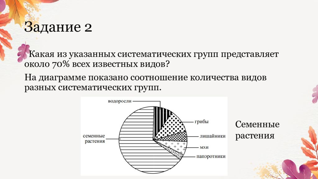 Соотношения насекомых и других видов диаграмма. Систематика растений таксономические единицы. Какая из указанных систематических групп представлена наибольшим. Систематика животных 7 класс биология таблица. Таксономические единицы царства растения.