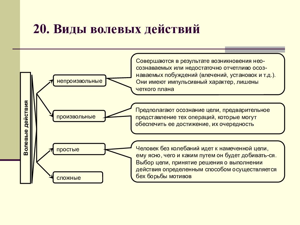 Функции волевых действий схема