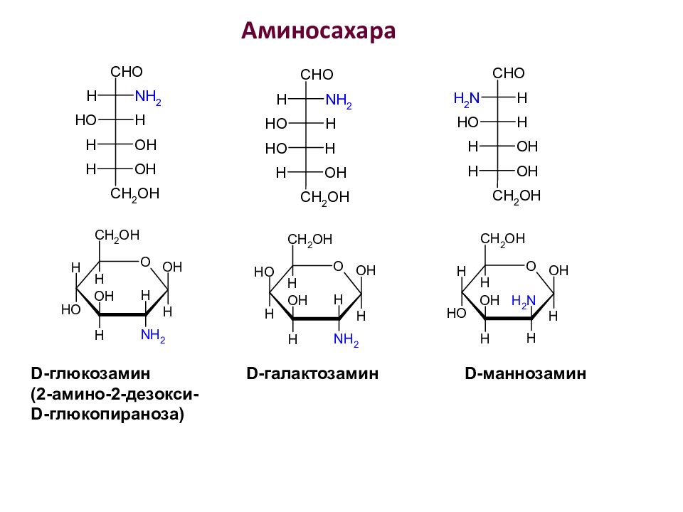 Моносахариды формулы Фишера. Структурные формулы моносахаридов. Маннозамин. Производные моносахаридов.