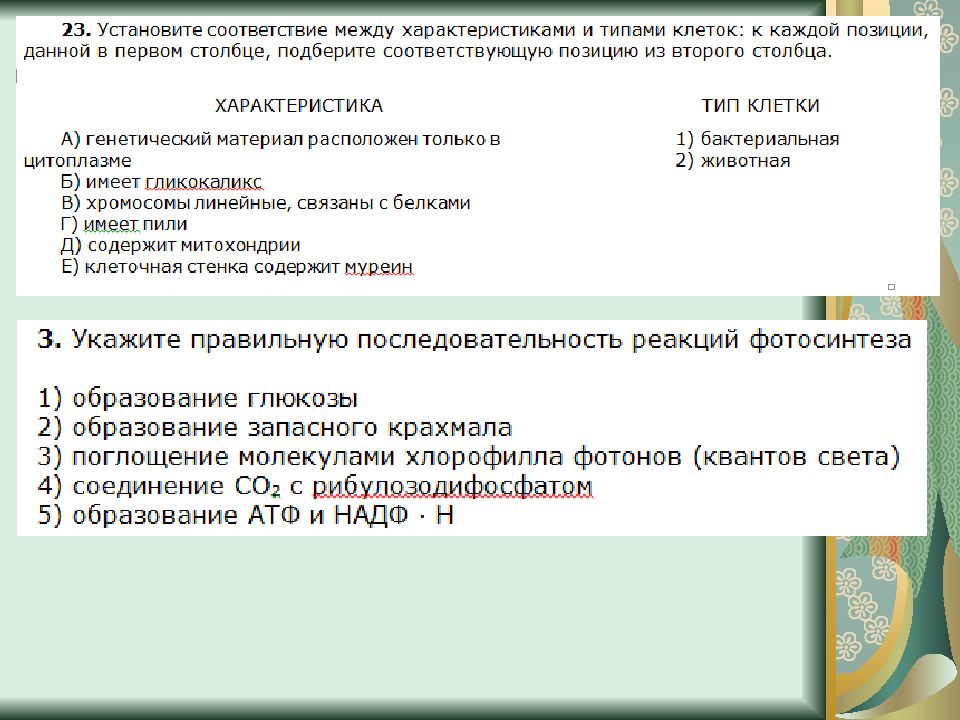 Тест по биологии по теме обмен веществ. Задания ЕГЭ по теме энергетический обмен биология 2024.