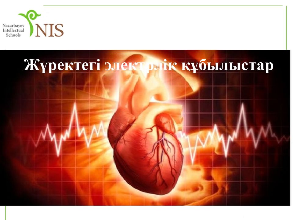 Жүректегі электрлік құбылыстар