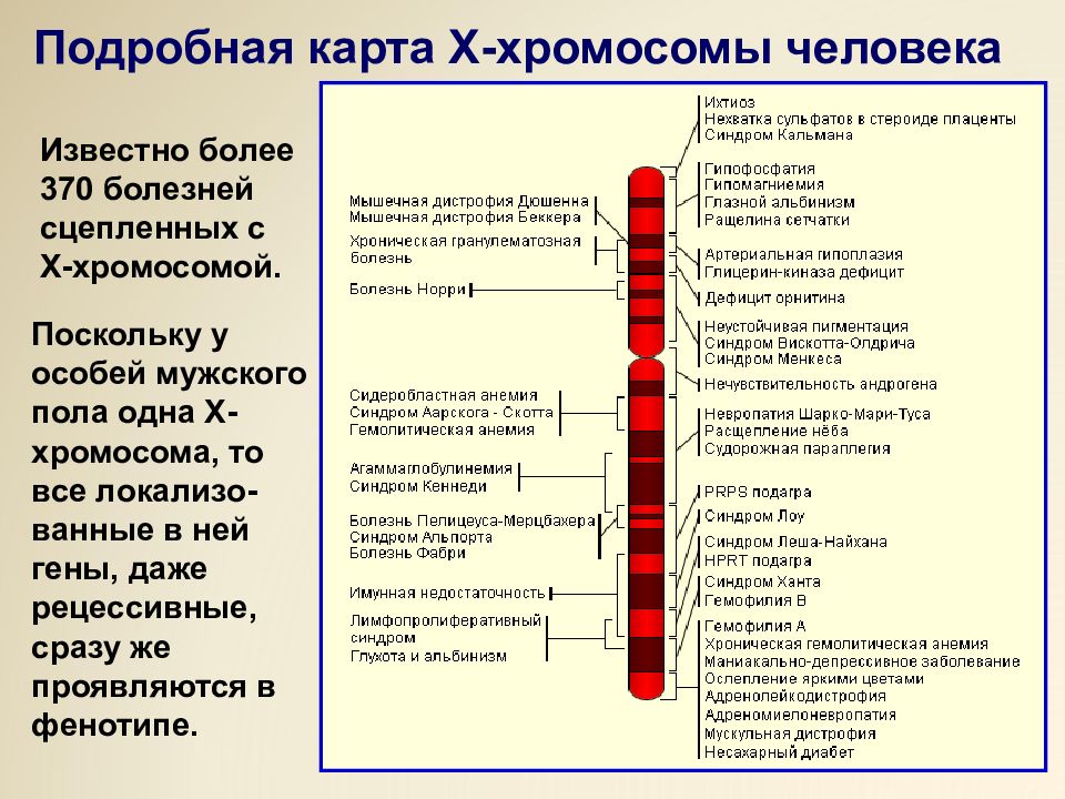 Карта по х и у