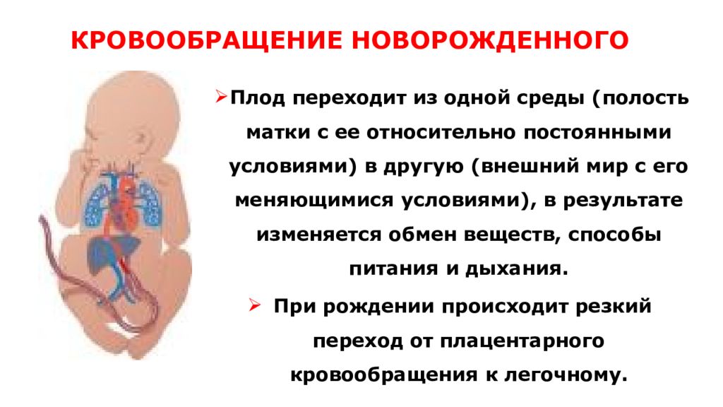 Признаки гемодинамики. Кровеносная система новорожденного ребенка. Особенности сердечно-сосудистой системы у новорожденных. Афо системы кровообращения новорожденного. Перестройка кровообращения у новорожденного.