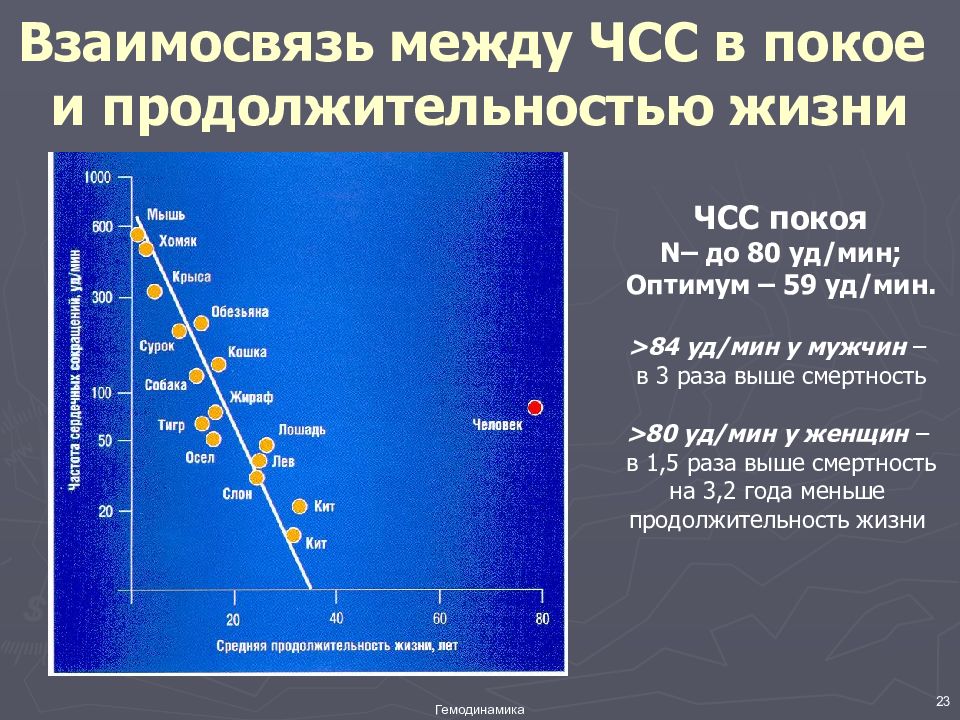 Частота сердечных сокращений в покое. Частота сердечных сокращений и Продолжительность жизни. ЧСС И Продолжительность жизни. Частота пульса и Продолжительность жизни. Связь частоты сокращений сердца с продолжительностью жизни.