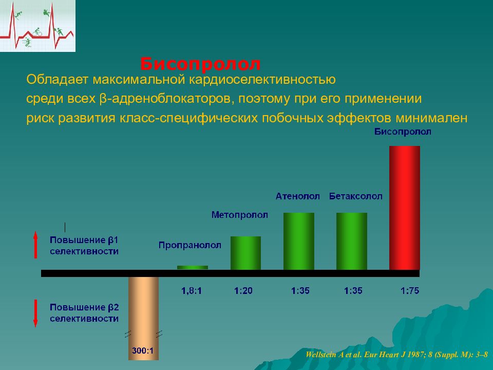 Обладает максимальной. Бисопролол кардиоселективность. Кардиоселективность это. Индекс кардиоселективности. Индекс кардиоселективность бета блокаторов.