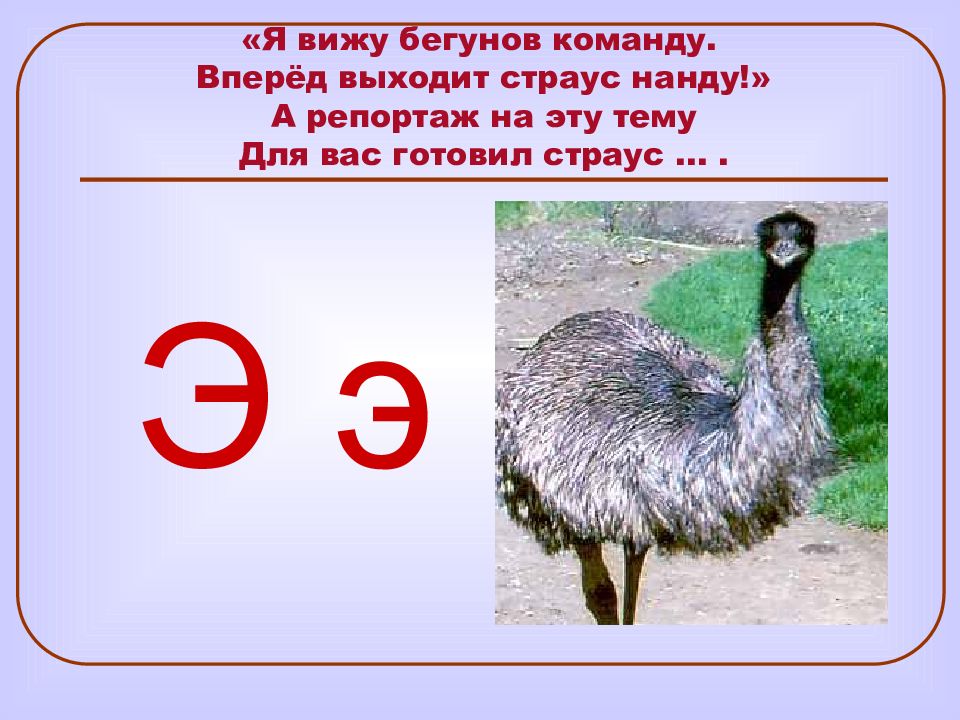 Что за зверь на букву ю загадка. Презентация на тему Страусы. Загадка про страуса для детей. Нанду презентация. Загадка о страусе на английском.