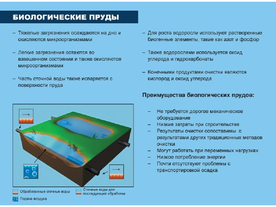 Биологическая очистка сточных вод. Биопруды для очистки сточных вод схема. Биологический пруд очистка сточных вод. Биопруд для очистки сточных вод. Биологическая очистка сточных вод биопруды схема.