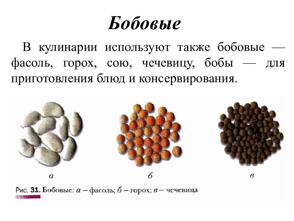 Технология приготовления блюд из бобовых изделий