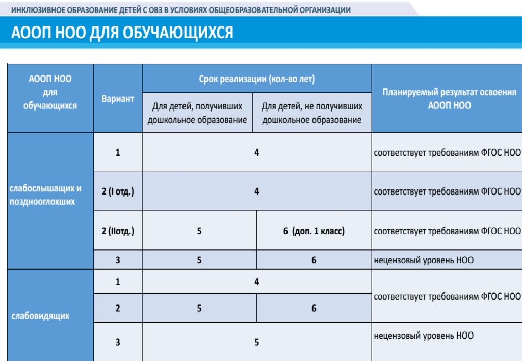 Аооп для слабовидящих варианты. Нецензовый уровень образования это. Нецензовый уровень образования АООП. Цензовое образование и нецензовое образование это. Нецензовый уровень образования детей с ОВЗ это.