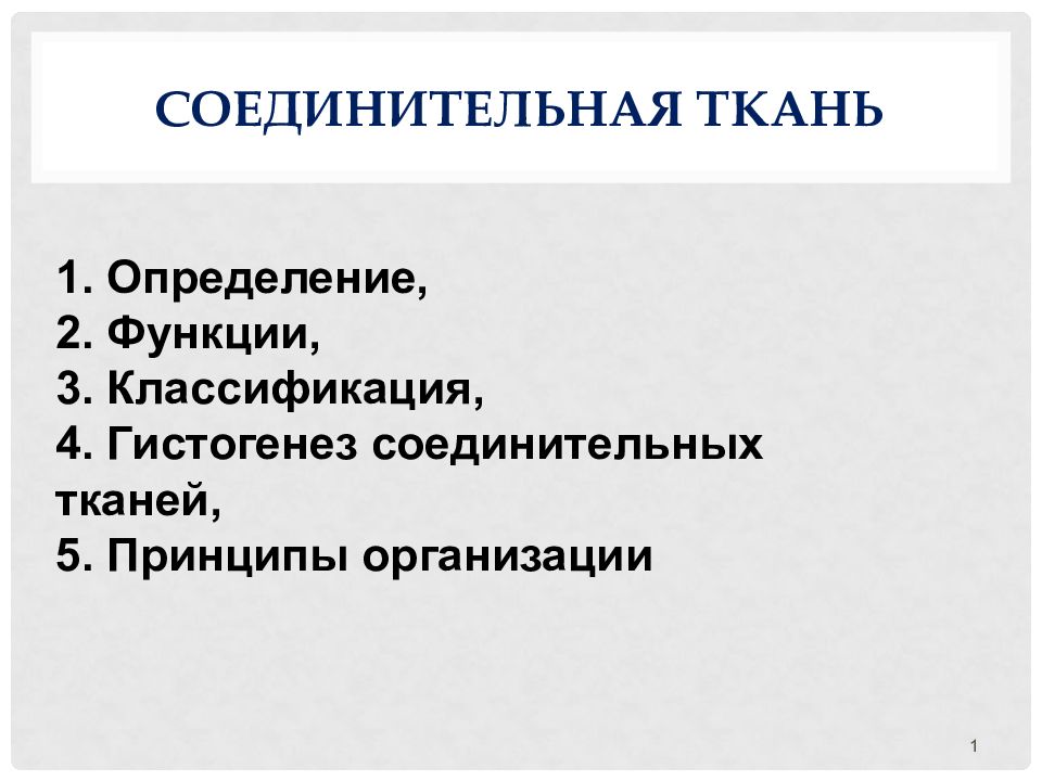 Соединительная ткань