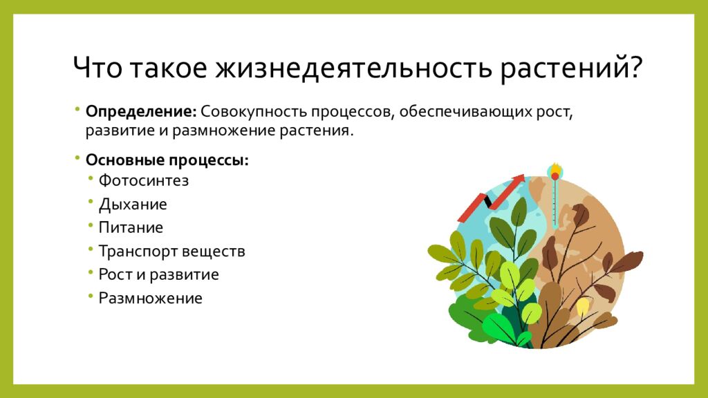 Что такое жизнедеятельность растений?