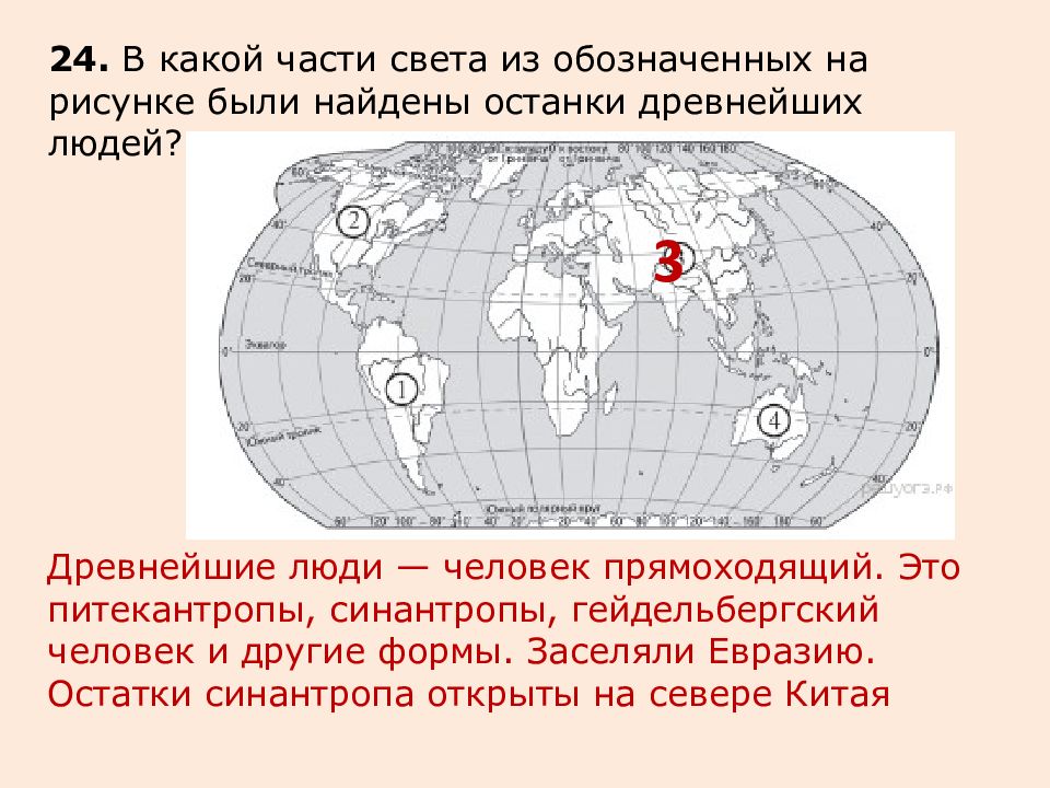 В какой части света из обозначенных на рисунке были найдены останки древнейших людей