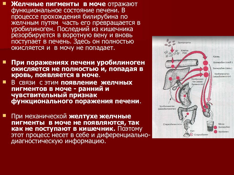 Моча печень. Уробилин и желчные пигменты в моче. Изучение методов обнаружения желчных пигментов в моче. Методика определения уробилина и желчных пигментов в моче. Желточные пизменты в моче.