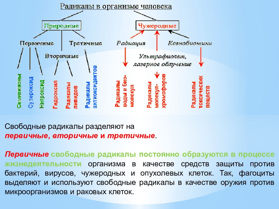 Презентация на тему радикалы