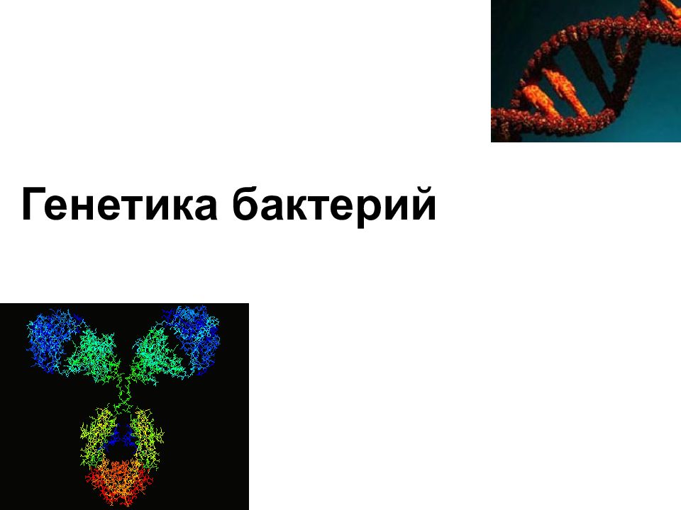 Генетика микроорганизмов презентация