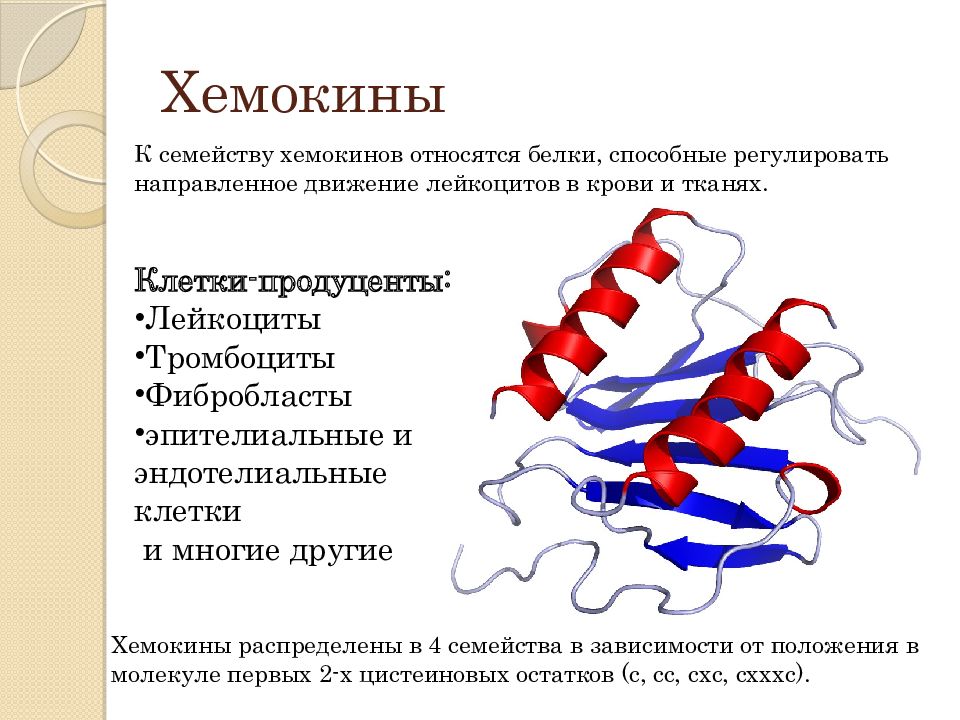 Хемокины. Хемокины иммунология классификация. Рецепторы хемокинов строение. Цитокины и хемокины. Хемокины представители.