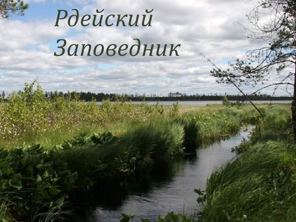 Рдейский Заповедник