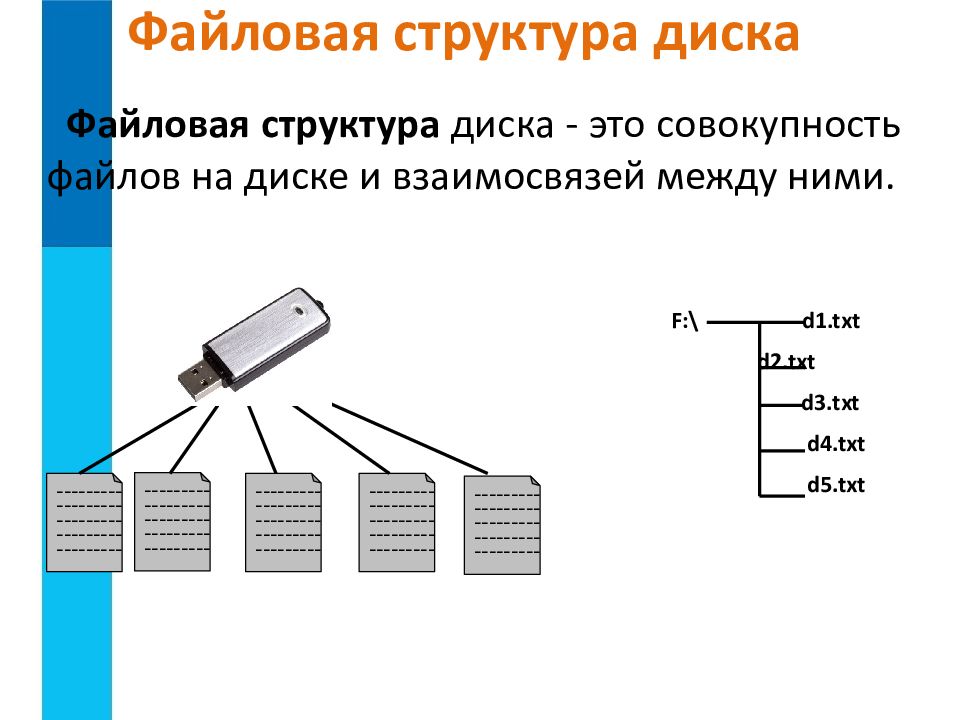 Файлы и файловая структура информатика