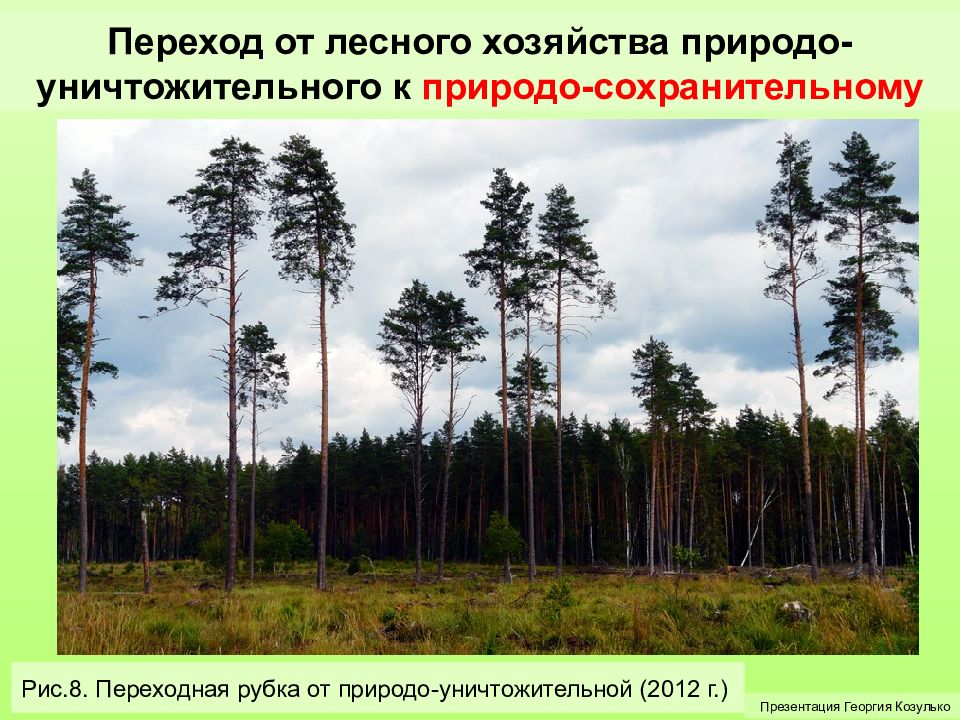 Отрасли лесного хозяйства. Виды форм лесного хозяйства. Минусы лесного хозяйства. Лесной переход. Формы хозяйства по способам рубки.