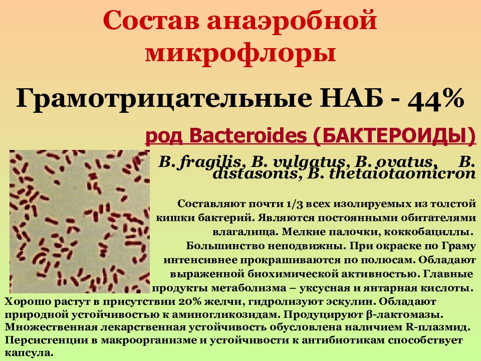 Анаэробный кофе. Бактероиды фрагилис. Бактероиды фрагилис Bacteroides fragilis. Bacteroides fragilis возбудитель. Bacteroides fragilis микробиология.