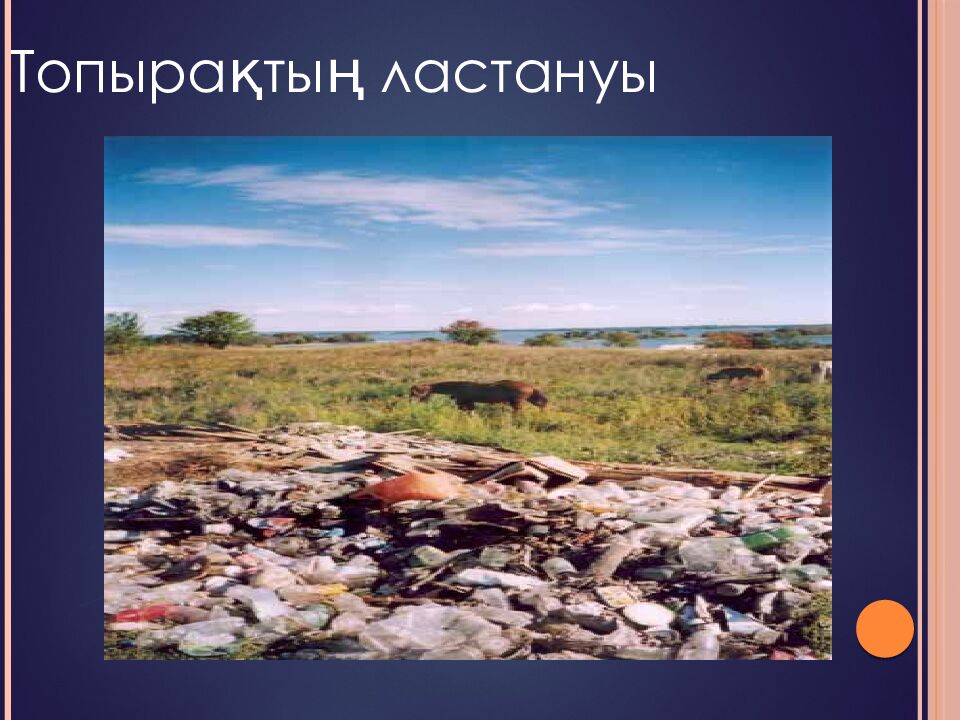 Топырақтың ластануы